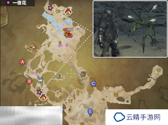 怪物猎人荒野一夜花的月华粉位置及获取方法 一夜花的月华粉在哪
