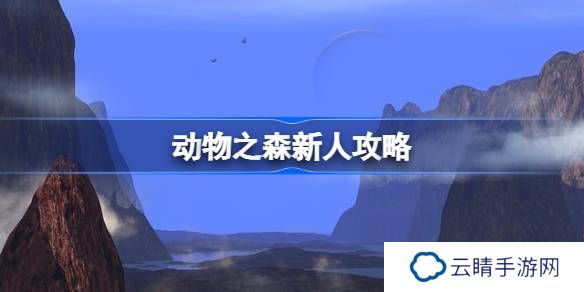 动物之森新人经营攻略-动物之森新人怎么玩