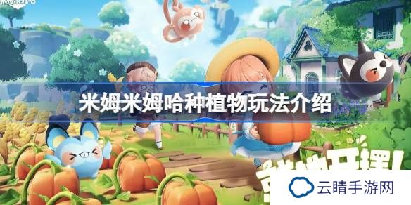 米姆米姆哈该怎么种植物-米姆米姆哈种植物玩法介绍
